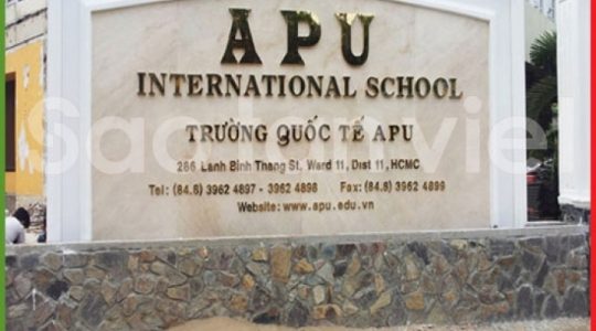 Chữ Inox Vàng - Làm Hộp Nổi (Apu)